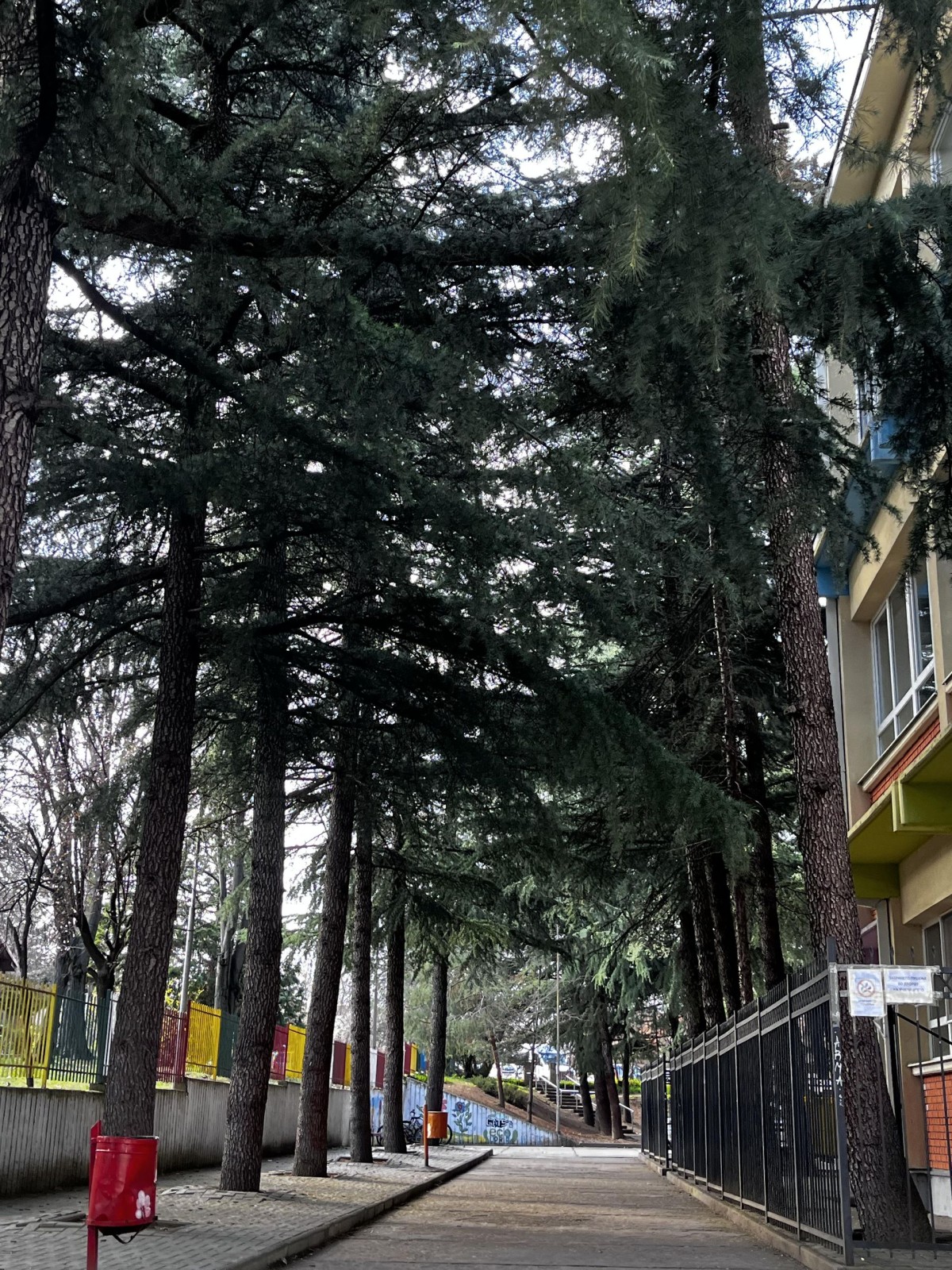 The walk towards the entrance of Vlado Tasevski.